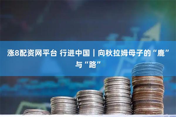 涨8配资网平台 行进中国｜向秋拉姆母子的“鹿”与“路”